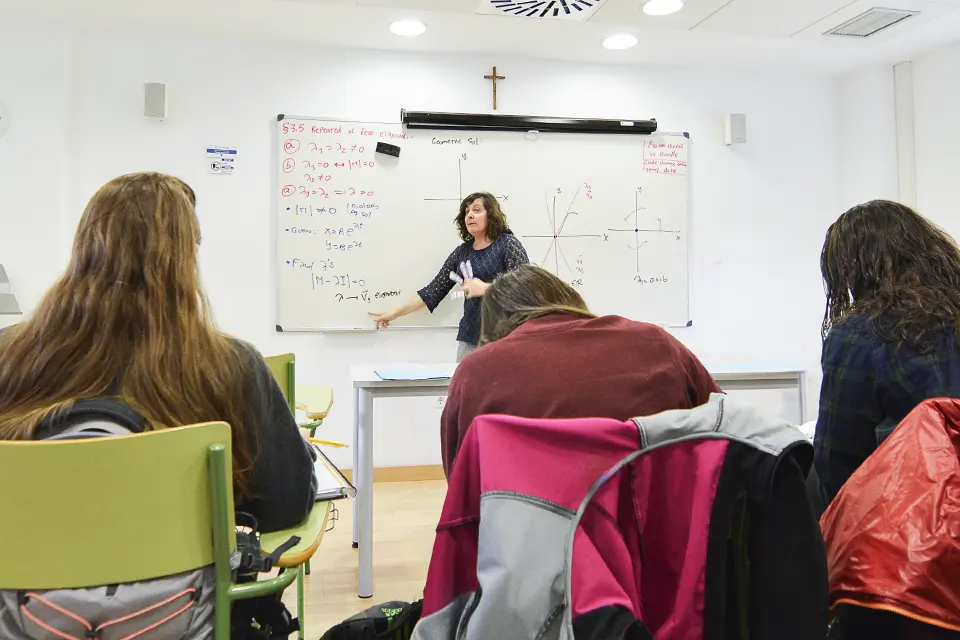 A professor teaching a math class to the students