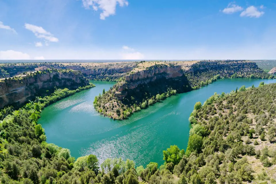 overview of a river winding through a mountain with pine trees