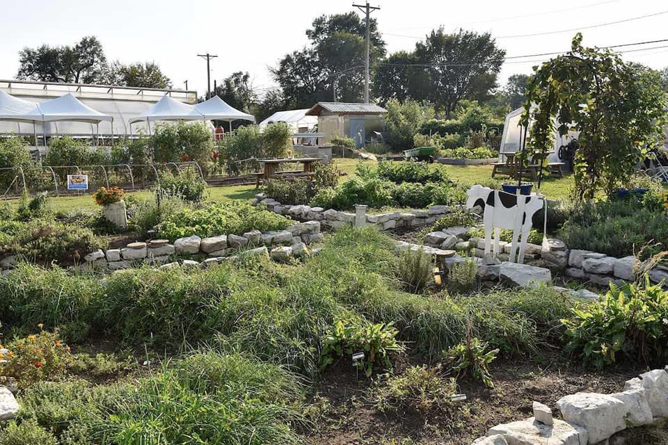 SLU garden